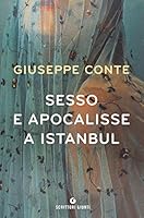 Sesso e apocalisse a Istanbul 880985053X Book Cover