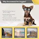 NAMSAN Hundebrille für Kleine Hunde UV-Schutz Hunde Sonnenbrille mit Einstellbar Gummiband Winddichte Hunde Motorradbrille-Schwarz