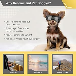 Dog Goggles Dog Sunglasses for Small Breed UV Protection Windproof with Adjustable Head Straps Chin Straps for Ride Car/Hiking Travel/On Beach-Black Dog Goggles Dog Sunglasses for Small Breed UV Protection Windproof with Adjustable Head Straps Chin Straps for Ride Car/Hiking Travel/On Beach-Black