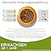 IAMS Delights Land Collection Katzenfutter Nass - Multipack mit Fleisch Sorten (Lamm, Rind, Huhn & Pute) in Sauce, Nassfutter für Katzen ab 1 Jahr, 12 x 85g