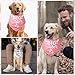 Heclia Big Sister Dog Bandanas Gender Reveal Announcement Scarf for Medium Cute Pet Photo Props for Pregnancy Reveals Birthdays Family Adjustable 2 Pcs Soft Pet Bandana for Celebrations Photo Shoots