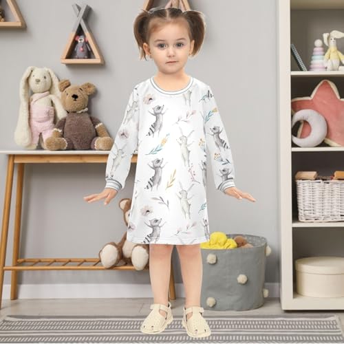 Girls Dresses Toddler Girl Clothes Cute Raccon Deer Bunny Animal Winter Casual Long Sleeve for Kids 2-8 Years2