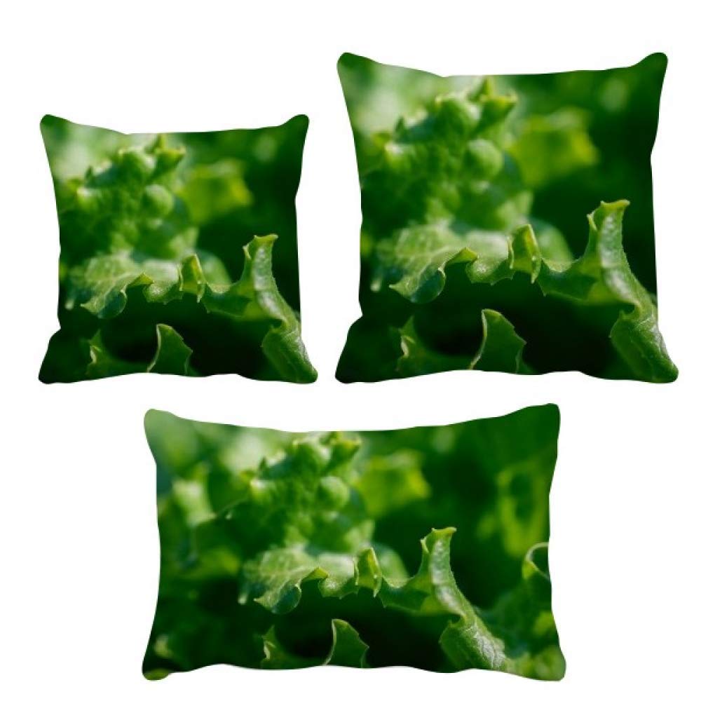 Coussin motif feuilles décoration canapé salon taie d'oreiller