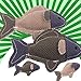 LJWLZF Juguete para Perros chirriantes: Juguetes interactivos, Peces de Forma Animal, Textura...