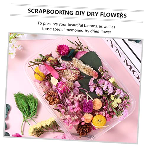 Ramo de flores secas prensadas para artesanía miniatura 6