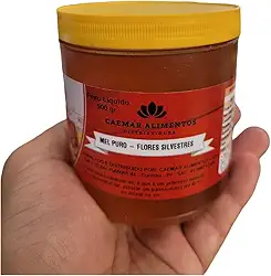 Mel Puro 100% Natural sem Conservantes - 500 gr - Flores Silvestres
