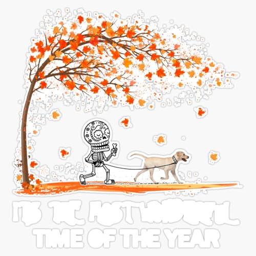 Its The Most Wonderful Time of The Year Funny Labrador