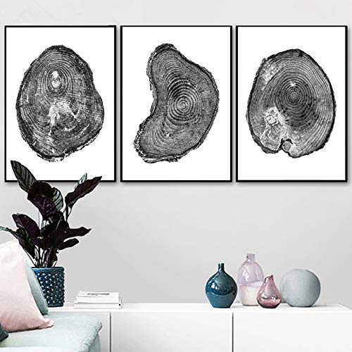 Affiche arbre noir et blanc 40x60 cm triptyque nature moderne - 5