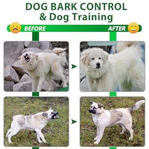 Kmool anti barking devices dog barking control devicesno bark bird box for dogs barking dog deterrent anti barking device for dogs indooor outside   cucciolini doodles