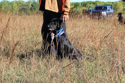 HuntEmUp Ultimate Teal Hunting Dog Training Scent and Realistic Teal Duck Dummy - Waterfowl Puppy Gundog Training Bundle Sporting Dog Pointer Retriever Retrieving Trainer Training Kit