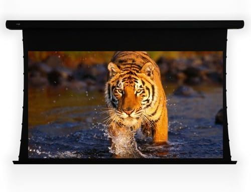 EluneVision EV-T3-100-1.0 Projection Screen Motorized 110 V