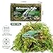 Pakimi 28OZ Sphagnum Moss for Reptiles, Terrarium Natural Green Dried Peat Habitat Bedding Plants for Snakes Gecko Forest Frogs and Turtle Accessories Substrate (100QT)