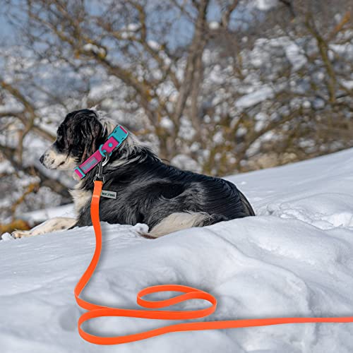 Wolfone 1,5m orange Schleppleine für Hunde,wasserdichte Trainingsleine, strapazierfähige und Pflegeleichte Leine, geeignet für Rückruf, Schwimmen, Camping, Strand, Jagd, Spaziergänge