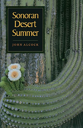 Sonoran Desert Summer (English Edition)