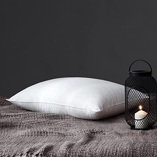 Johalaide Natural Goose Down Feather Pillows for Sleeping Queen Size Bed Pillows, 100% Undyed Egyptian Cotton 1000 Thread Count Down Pillows(20x28Inches, 1 Pack) Johalaide Natural Goose Down Feather Pillows for Sleeping Queen Size Bed Pillows, 100% Undyed Egyptian Cotton 1000 Thread Count Down Pillows(20x28Inches, 1 Pack)