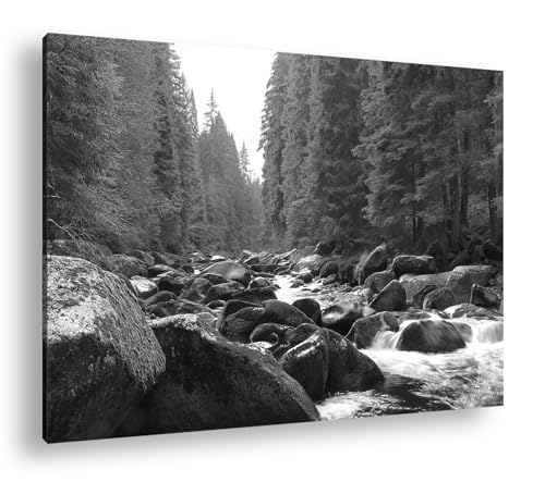 Rivière idyllique dans la forêt tableau noir et blanc 90x60cm avec cadre bois