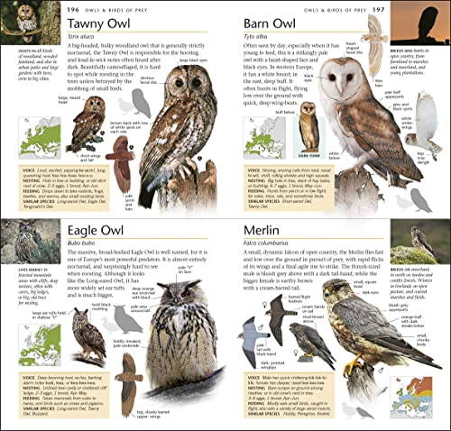 RSPB Pocket Birds of Britain and Europe 5th Edition - Image 8