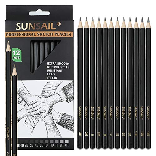 Sketching Pencils Set for Drawing-12 Pieces Drawing Pencils 14B,12B,10B,8B,6B,4B,2B,B,HB,H,2H,4H,Professional Graphite Pencils for Beginners & Pro Artist,Ideal for Drawing Art, Sketching, Shading