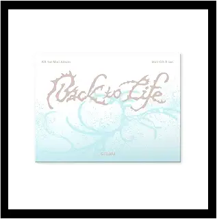 エンティーム &TEAM KR - Back to Life Photocard Box (Mini CD-R ver.) (ファーストミニ) CD [韓国盤]