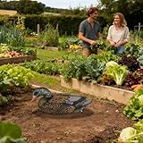 Zoom IMG-1 generico richiami in movimento per