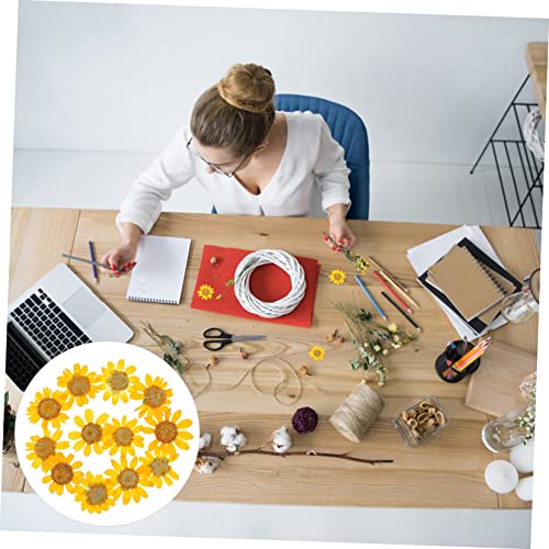 Abaodam 72 Pçs Decorações De Joias Secas Reais Scrapbooking Flores Faça Estojo De Telefone Supriment