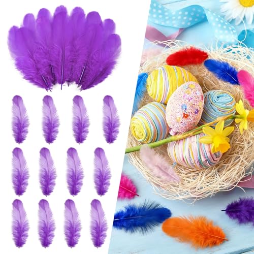THARAHT Craft Rooster Feathers 300pcs 3-5inch for Kindergarten DIY Crafts Wedding Home Party Dream Catcher Supplies Decorations Feathers Purple