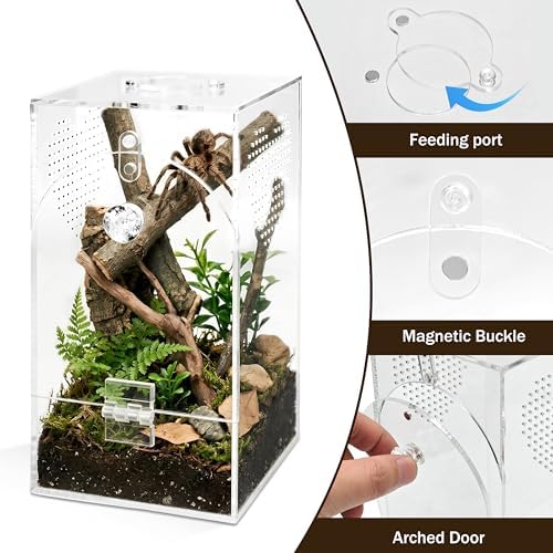 YINGXUN Jumping Spider Enclosure Set, Terrestrial Arboreal Combo, Acrylic Tarantula Terrarium, Praying Mantis Habitat, No Assembly, 2-Size Kit, Large - 2