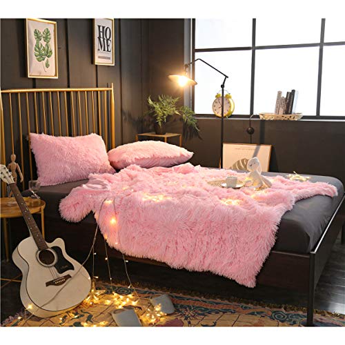 Noahas Shaggy Longfur Throw Blanket With Sherpa Warm Underside, Super Soft Cozy Large Plush Fuzzy Faux Fur Blanket, Lightweight Washable Kids Girls Room Decorative Blanket, 50''X60'', Light Pink #TOP5