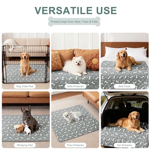 Image of Eterish Reusable Washable Pee Pads for Dogs Large /Extra Large 36'' x 41'' 2 Pack, Absorbent Pet Puppy Dog Training Pads Non-Slip, Waterproof Whelping Potty Pads for Dogs Leak-Proof
