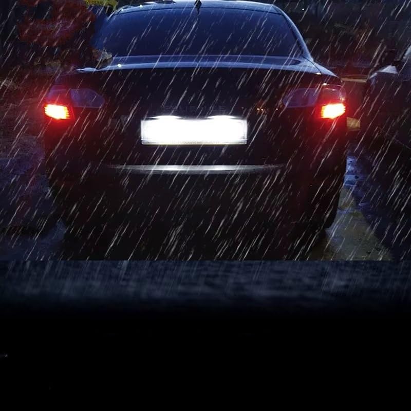 Luz de matrícula para Dacia Logan MCV idónea para trayectos nocturnos 7