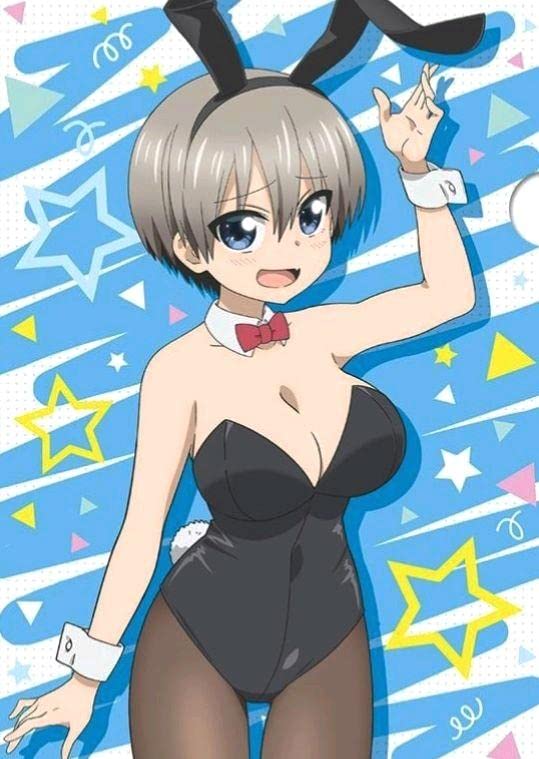 Amazon.co.jp: 宇崎ちゃんは遊びたい バニーガール A4クリアファイル