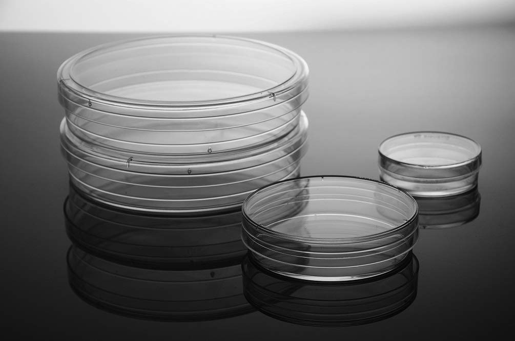 Nest Scientific 705001 Polystyrene Cell Culture Dish, Tissue Culture Treated, Sterile, 60 mm, 20 per Bag, 500 per Case (Pack of 500)