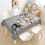>>> MATERIAL - Tela de poliéster. Nuestra tela de mesa protege su mesa de comedor del polvo y del daño causado por el calor o los artículos afilados.----------(mantel amarillo desechable papel pastel plastico redondo tela y gris verde blanco cuadrado impermeable marron negro rectangular azul algodon celeste cumpleaños marino oscuro turquesa azulejos portugueses baby shower niña niño )