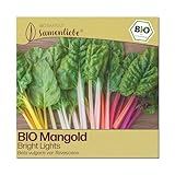 Samenliebe BIO Mangold Samen | Regenbogenmangold Bright Lights - bunt & winterhart - samenfestes BIO Saatgut