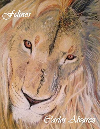 Felinos por Carlos Alvarez : l'excellence de l'édition d'art chez vous