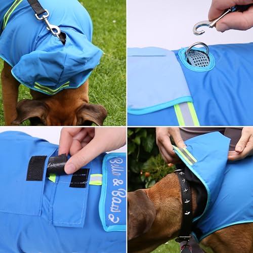 Bella & Balu Hunderegenmantel - Wasserdichter Hundemantel mit Kapuze und Reflektoren für trockene, sichere Gassigänge, den Hundespielplatz und den Urlaub mit Hund (S - Blau)