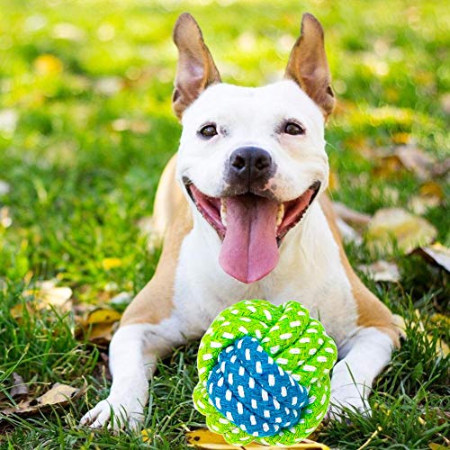 Brinquedo de limpeza de dentes de mordida de corda para cachorro N/A, brinquedo de limpeza de dentes