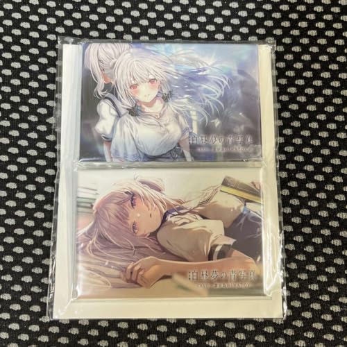 Nǌ ̐ʐ^ CASE- NׂIHATOV ʃobWZbg