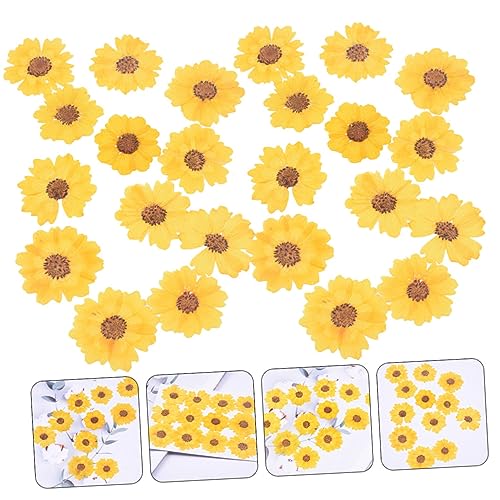 24 piezas de flores secas para manualidades y decoración miniatura 6