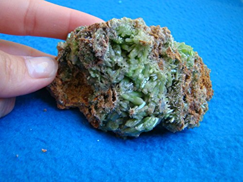 White Fibrous Gypsum: Selenite Satin Spar - 10 Pieces of Mineral