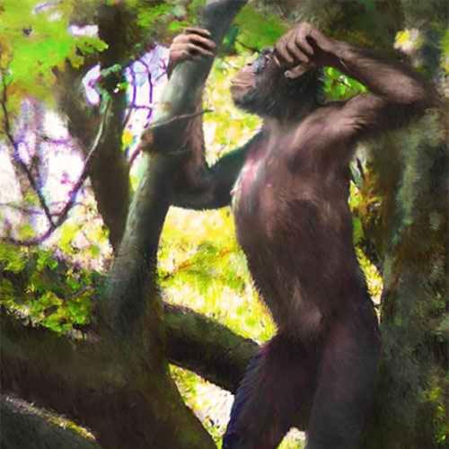 Danuvius, of the Celtic River God