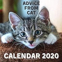 Advice From Cat Calendar 2020: December 2019 - December 2020 With Cat Inspirational Quotes 1674910134 Book Cover