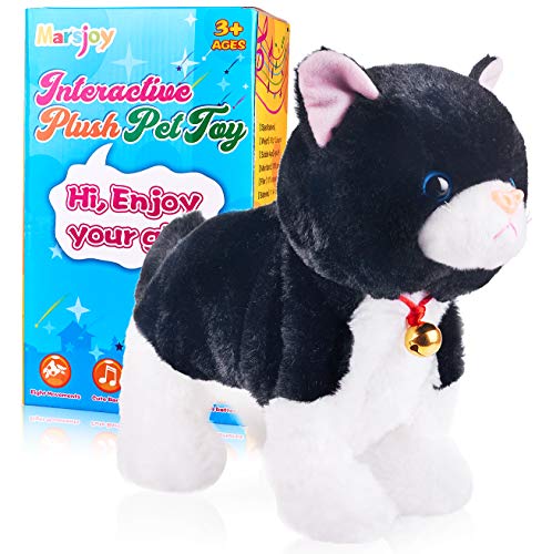 Robot Di Peluche Nero, Giocattolo Interattivo Per Gatti E Gatti, Gatto Gattino Giocattolo, Giocattolo Animato Per Ragazze E Bambini L: 30.5 Cm H: 20.3