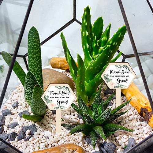 Weysat 60 Pcs Thank You for Helping Me Grow Succulent Tags for Baby Shower Hexagon Wooden Plant Stakes Labels Garden Potted Plant Sign Baby Shower Succulent Tag for Wedding Teacher Mother\'s Day
