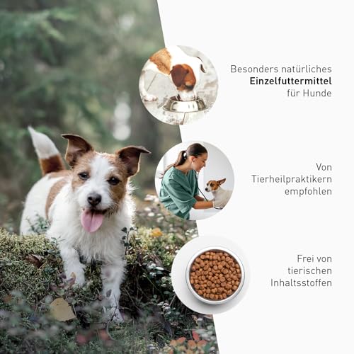 DANUWA Elements 150g – Spurenelemente & Mineralstoffe für Hunde - Canine Booster mit Magnesium, Zink, Kupfer & Mangan – Ergänzungsfuttermittel für gesunde Knochen, Nerven & Immunsystem