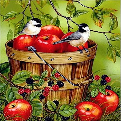 Broderie Point de Croix Fruits 11CT déco salon activité créative soirée