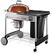 Weber 15402001 Performer Premium Charcoal Grill, 22-Inch, Copper, 0