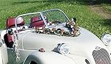  Autoschmuck Autogesteck Hochzeit Brautauto Autogirlande braun cappuccino champagner AU0025