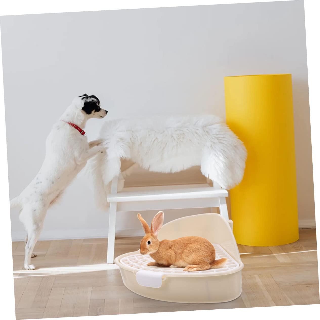 Toilet - Inrichting Kooi & Hok kopen? - Pets Place