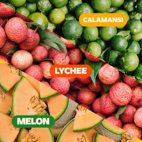 Image of Kampeon Calamansi Filipino inspire sparkling water - 12oz Cans - Filipino Lemonade with Real Calamansi Juice, Vitamin B & C, Magnesium - Sweet Tart Citrus Soda Alternative, b pack Lightly Sweet, Caffeine-Free INSPIRED BY THE PHILIPPINES (Pack of 12)